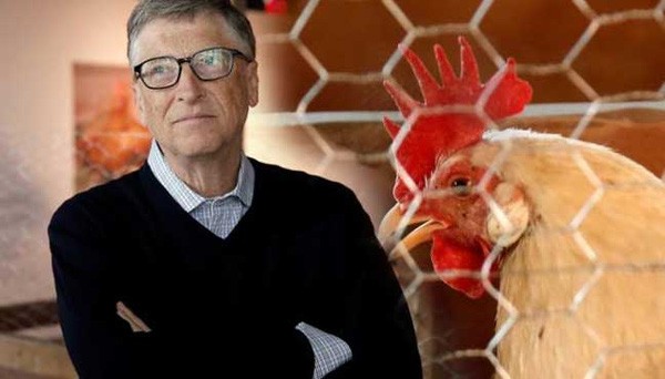 美国微软公司创始人比尔·盖茨向贫困者送鸡