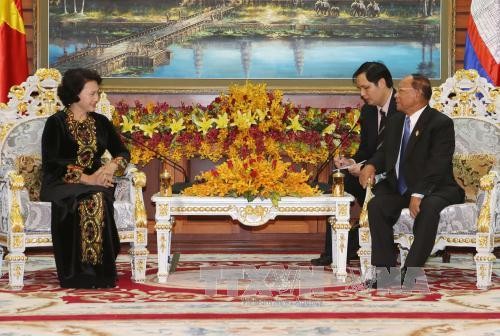 阮氏金银与柬埔寨国会主席韩桑林举行会谈