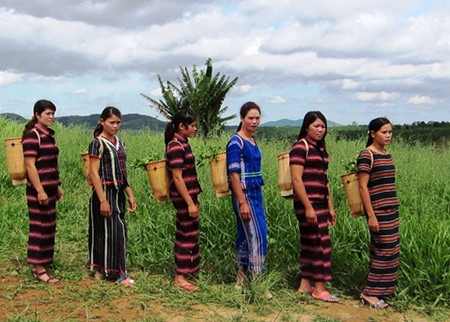 戈豪族人生活中的背篓编织业