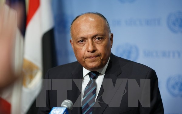 埃及和UAE建立双边政治磋商机制