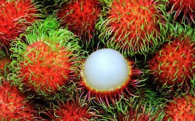 越南南部多种水果价格暴涨