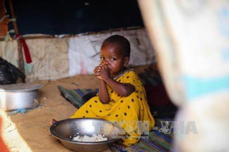 联合国呼吁防止也门、索马里、南苏丹及尼日利亚饥荒