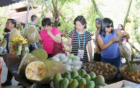 多场有关粮食和农产品的研讨会在芹苴市APEC粮食安全周期间举行