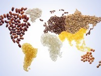 亚太经合组织粮食安全会议周结束
