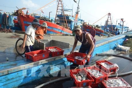 越南努力实施欧委会关于海产捕捞的建议
