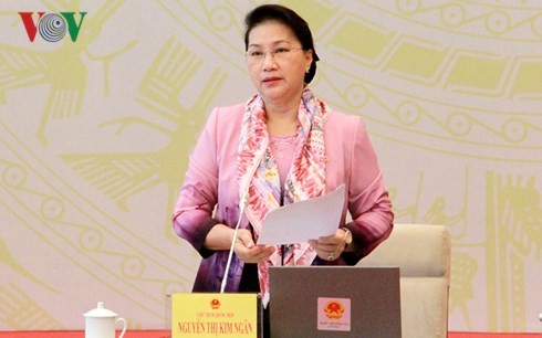 越南国会主席阮氏金银出席专职国会代表会议  
