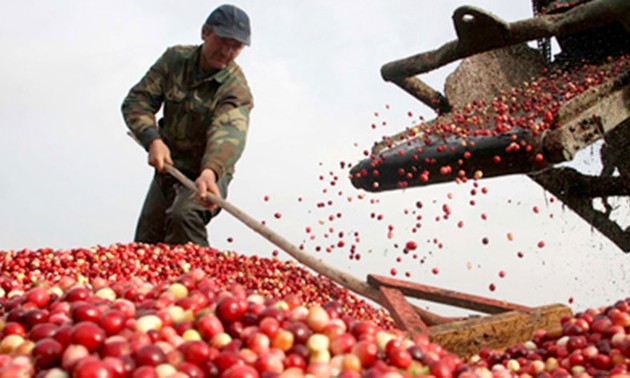 推动越南农产品进入高标准市场