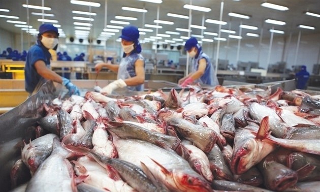 2019年越南力争查鱼出口24亿美元