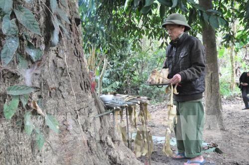 “森林节”——安沛省保护原始森林的传统礼仪