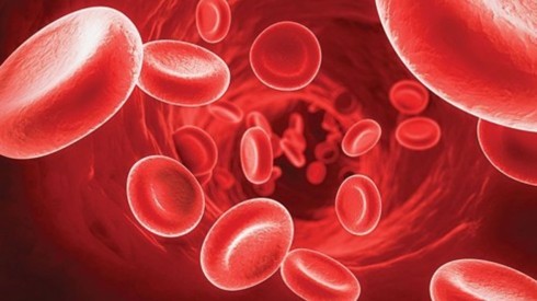 越南有至少6000人患血友病