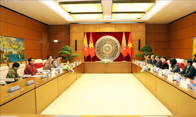 越南国会主席阮氏金银与不丹国家委员会主席塔希·多吉举行会谈