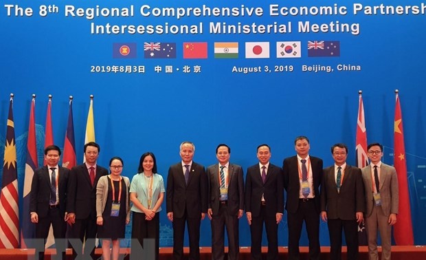 越南出席在中国举行的RCEP第八次部长级会议