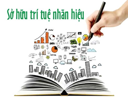 保护知识产权-提高越南品牌的竞争力