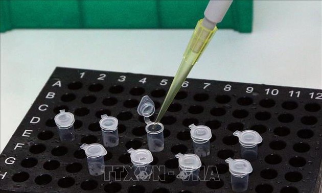 世界多国向越南订购COVID-19检测试剂盒