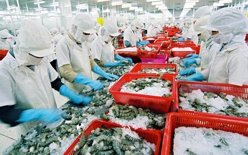 越南水产业在新冠肺炎疫情后恢复生产