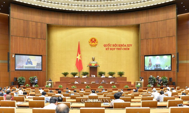 越南国会讨论《国会组织法修正案（草案）》