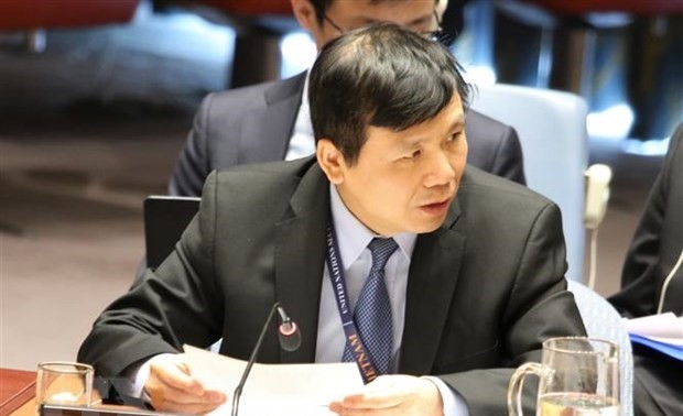 越南主持召开联合国安理会有关国际法院工作组的会议