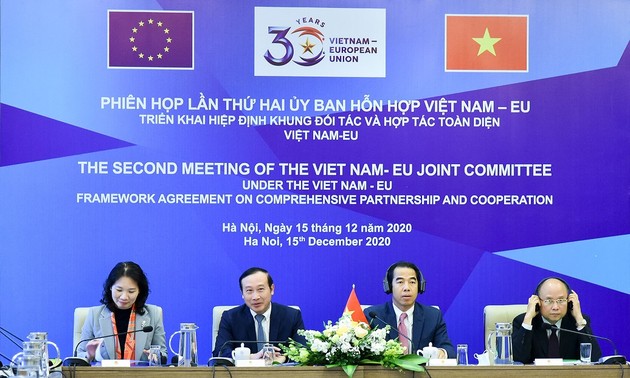 越南与欧盟合作克服疫情后果