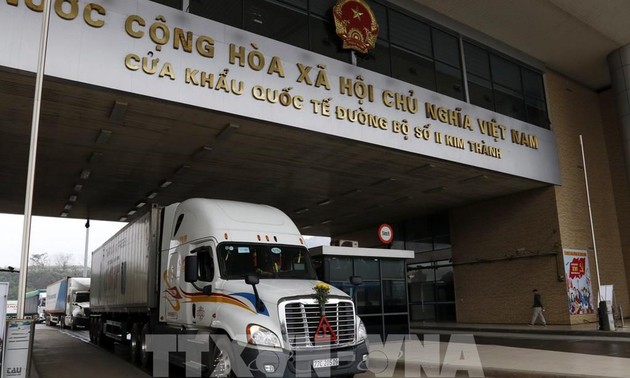 越南通过老街省口岸向中国市场出口一万四千多吨火龙果