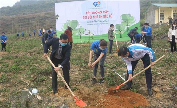 越南胡志明共青团启动2021年青年月及植树节