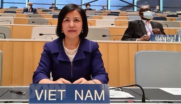 越南努力推动和保护人权