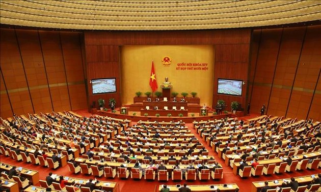 越南国会讨论十四届任期工作