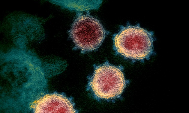 WHO：新冠病毒起源报告将在这两天公布