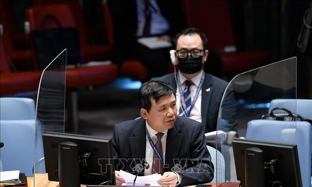 越南主持召开联合国安理会南苏丹问题委员会会议