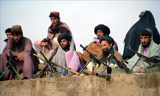 阿富汗政府军击毙数百名塔利班武装分子