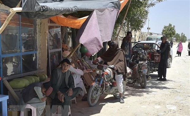 塔利班攻占阿富汗第二大城市