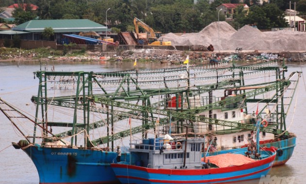 越南在水产开发领域中将采用渔船电子捕捞日志