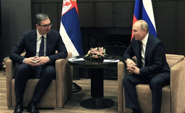 俄罗斯总统宣布与塞尔维亚提前签署天然气供应协议