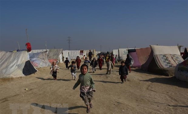 国际捐助者向阿富汗提供近 3 亿美元