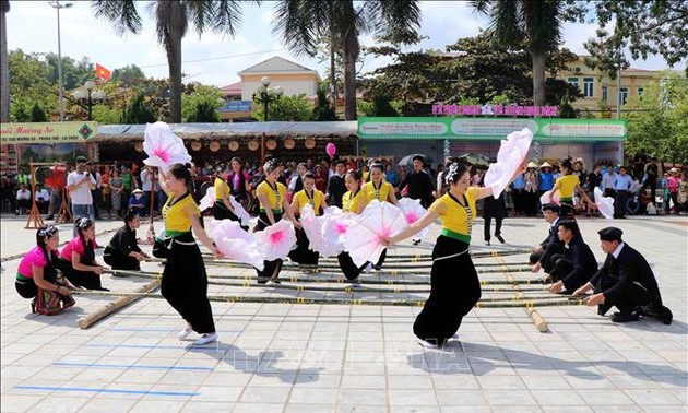 越南泰族摆手舞被联合国教科文组织列入人类非物质文化遗产代表作名录