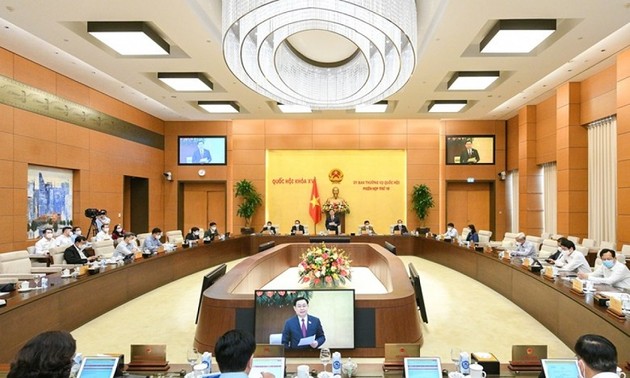 越南国会常委会向十五届国会首批最高监督专题提供意见