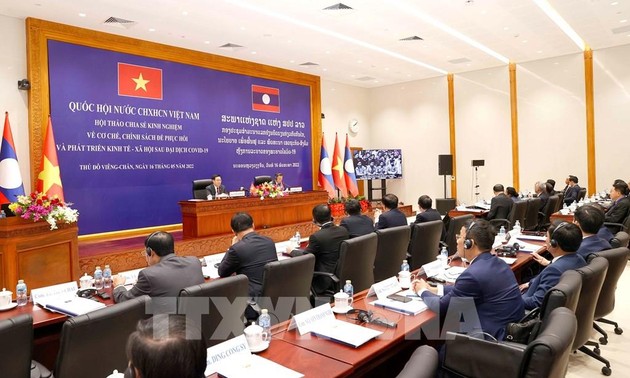 越南和老挝就疫情后发展经济社会分享经验