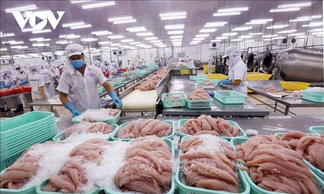 越南再有6家查鱼产品加工企业获准对美出口