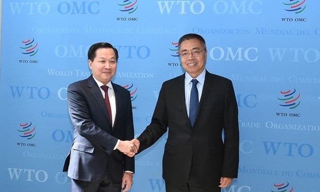 越南高度重视世贸组织在促进多边贸易体制中的作用