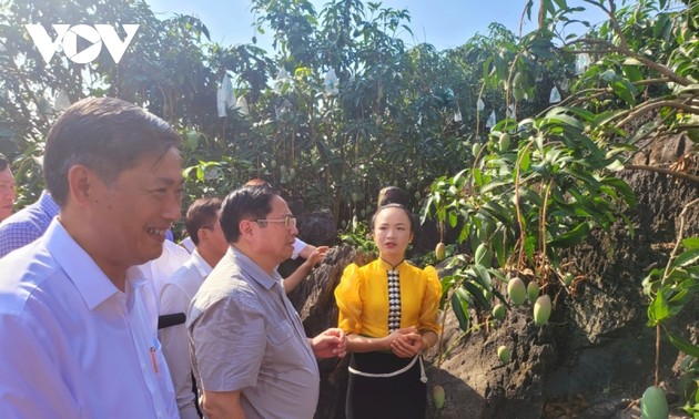 越南政府总理范明政参观山罗省农业生产区