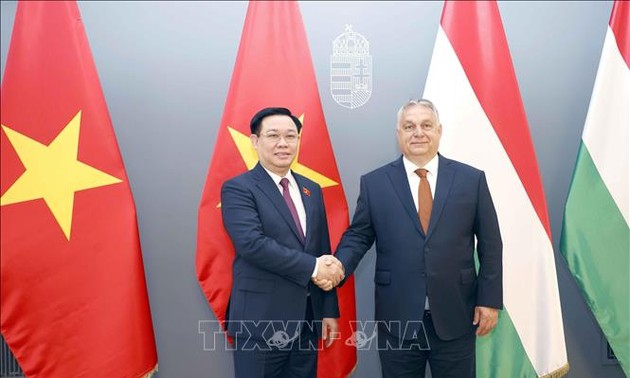 促进越南和匈牙利 全面伙伴关系，进一步深化越英战略伙伴关系
