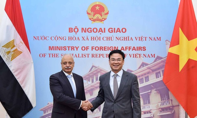  进一步推动越南和埃及各领域合作关系