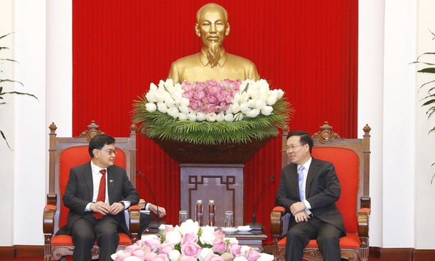 越南一向重视并希望与新加坡促进战略伙伴关系