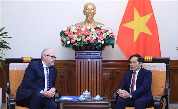  越南和OECD加强合作
