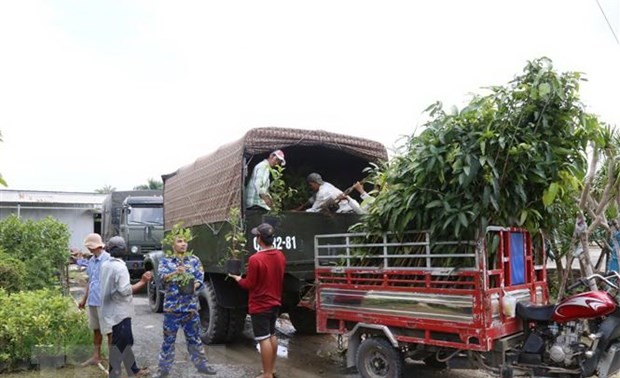 越南海军第四区接收1.5万棵树苗