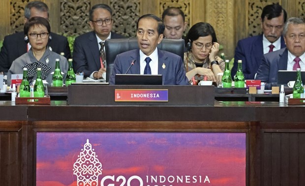 印度尼西亚总统佐科：二十国集团峰会实现了4大目标