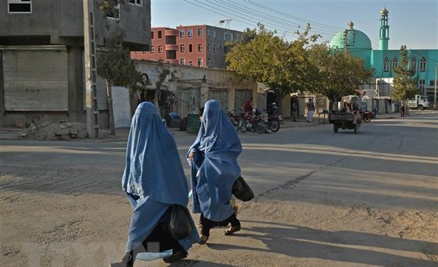联合国对塔利班对妇女的新禁令表示担忧