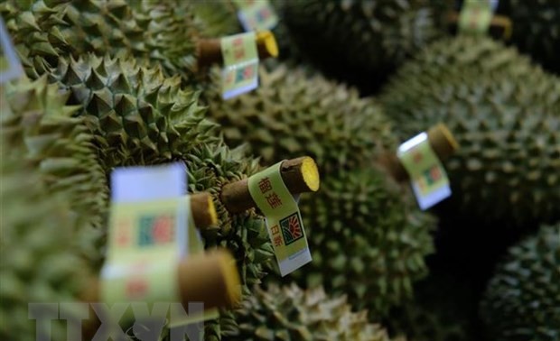 越南热带水果节在中国天津举行