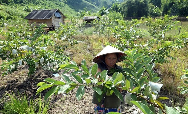 以人为中心- 越南国家减贫计划成功的关键  ​