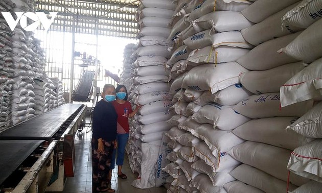 ​ 越南出口大米价格领先国际市场