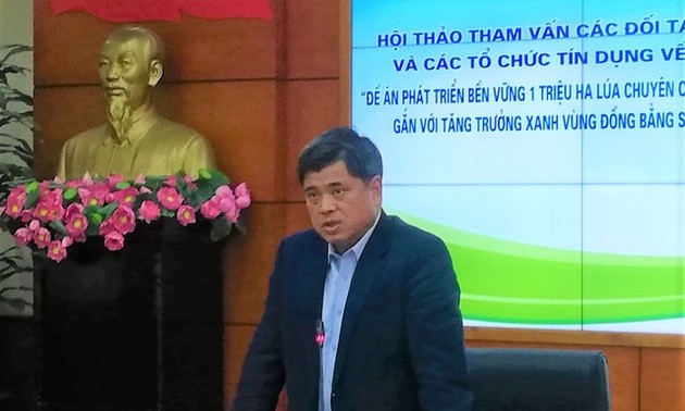 在越南建立低碳减排稻作示范模式
